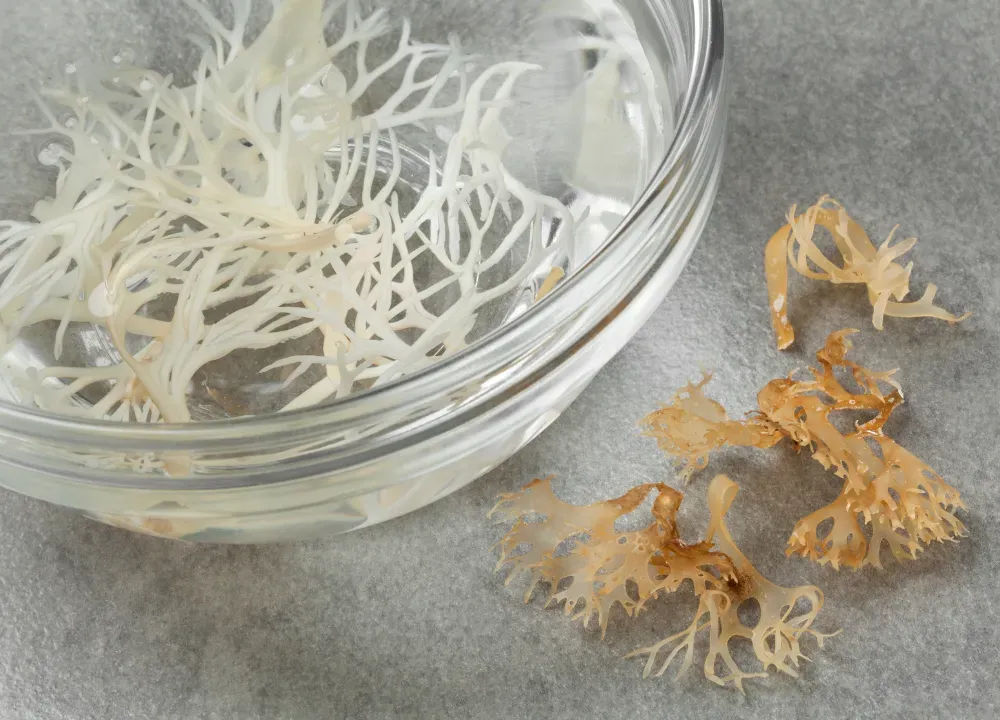 What are the top 10 benefits of sea moss?