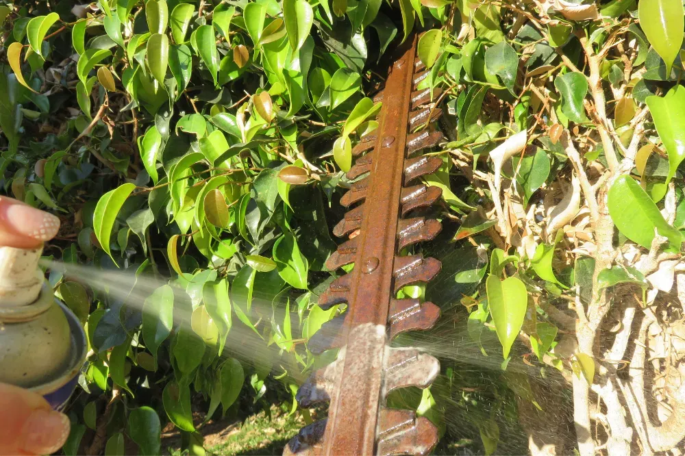 How to sharpen a hedge trimmer