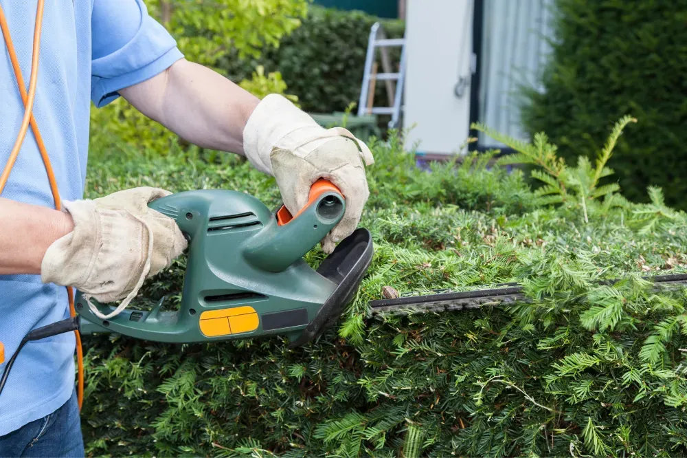 How to sharpen a hedge trimmer