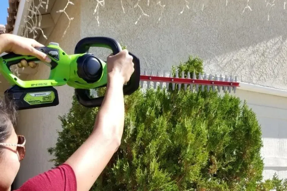 How to trim hedges with electric trimmer