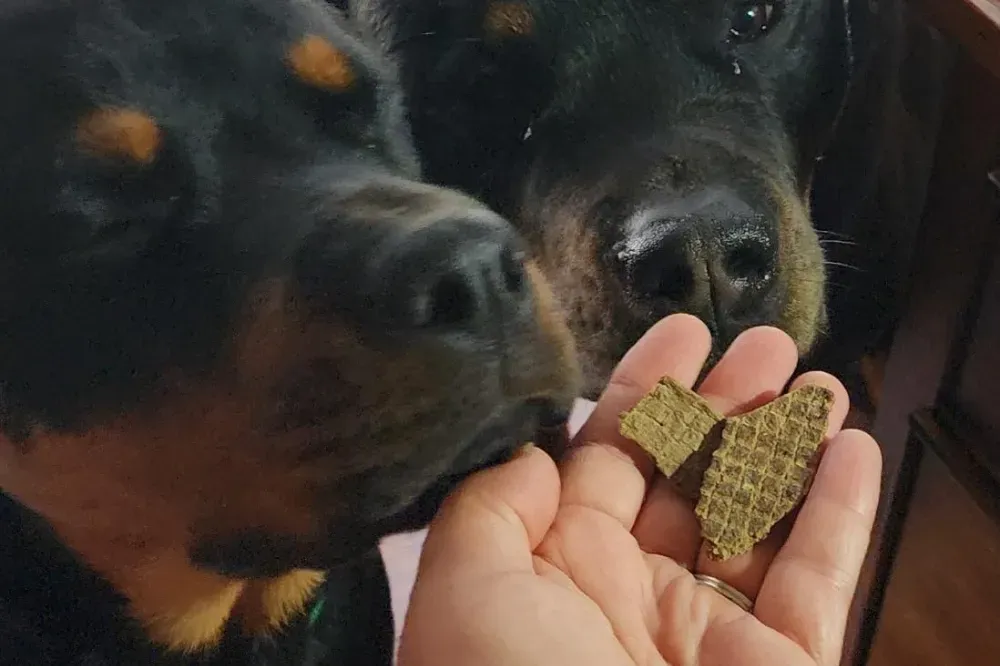 is air dried food good for dogs