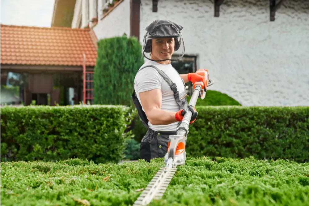 Which is better a corded or cordless hedge trimmer