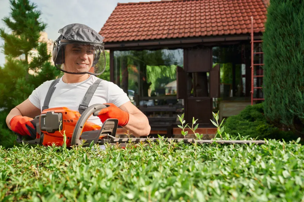 Which is better a corded or cordless hedge trimmer