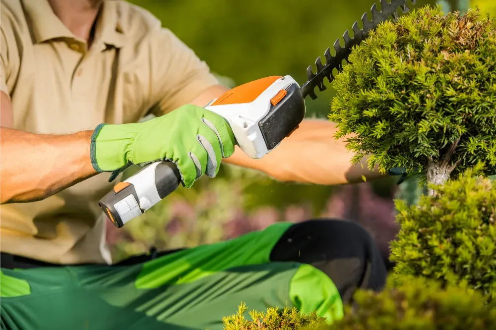 Which is better a corded or cordless hedge trimmer