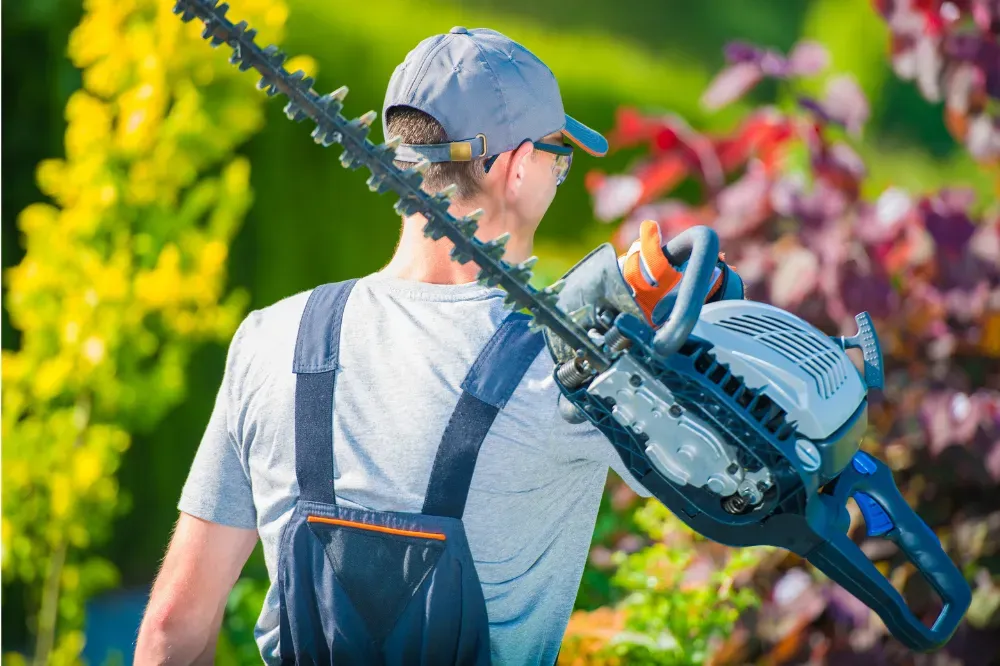 Which is better a corded or cordless hedge trimmer