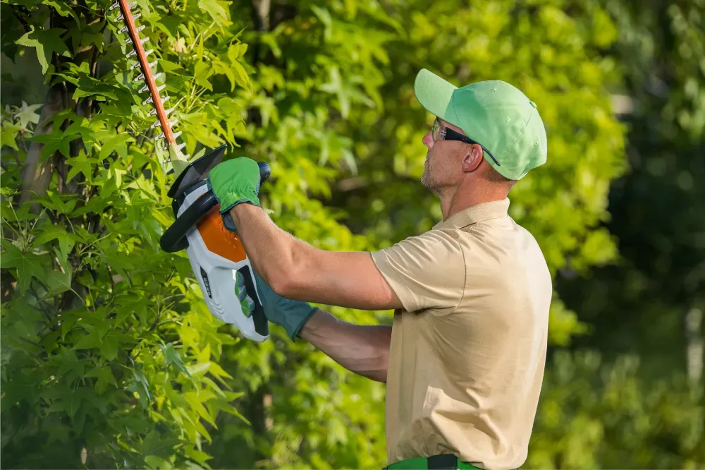 which is better a corded or cordless hedge trimmer