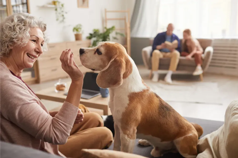 benefits of pets for elderly