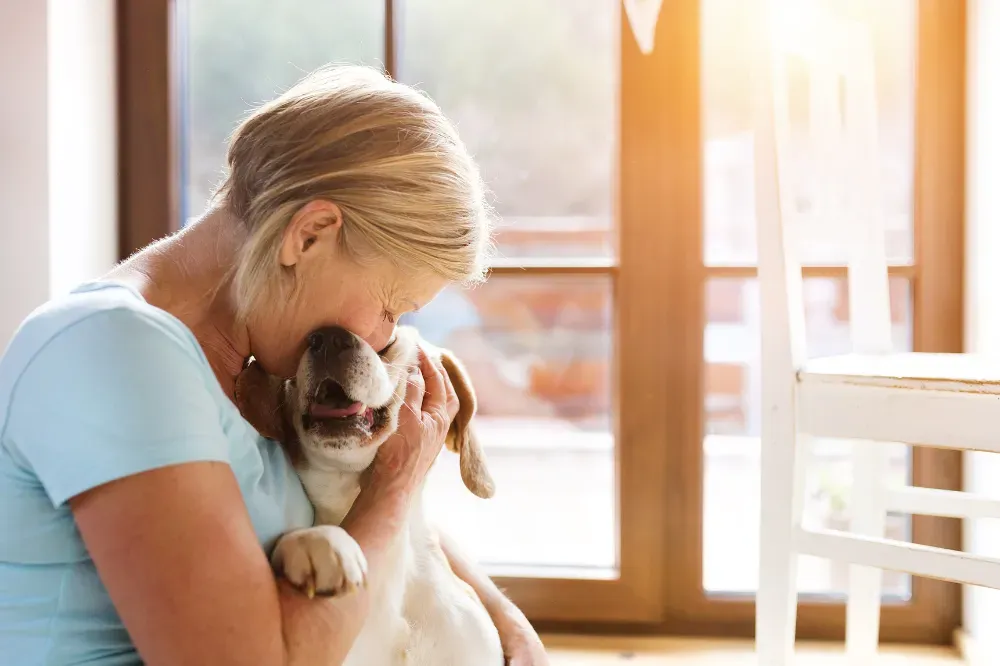 therapy dogs for seniors