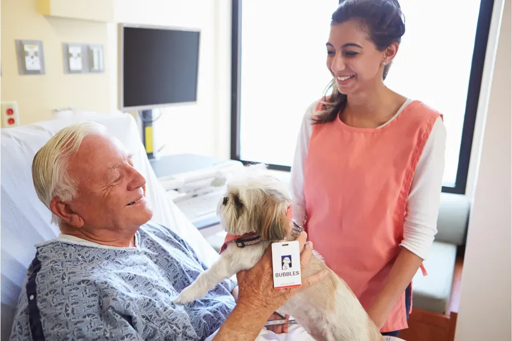 therapy dogs for seniors