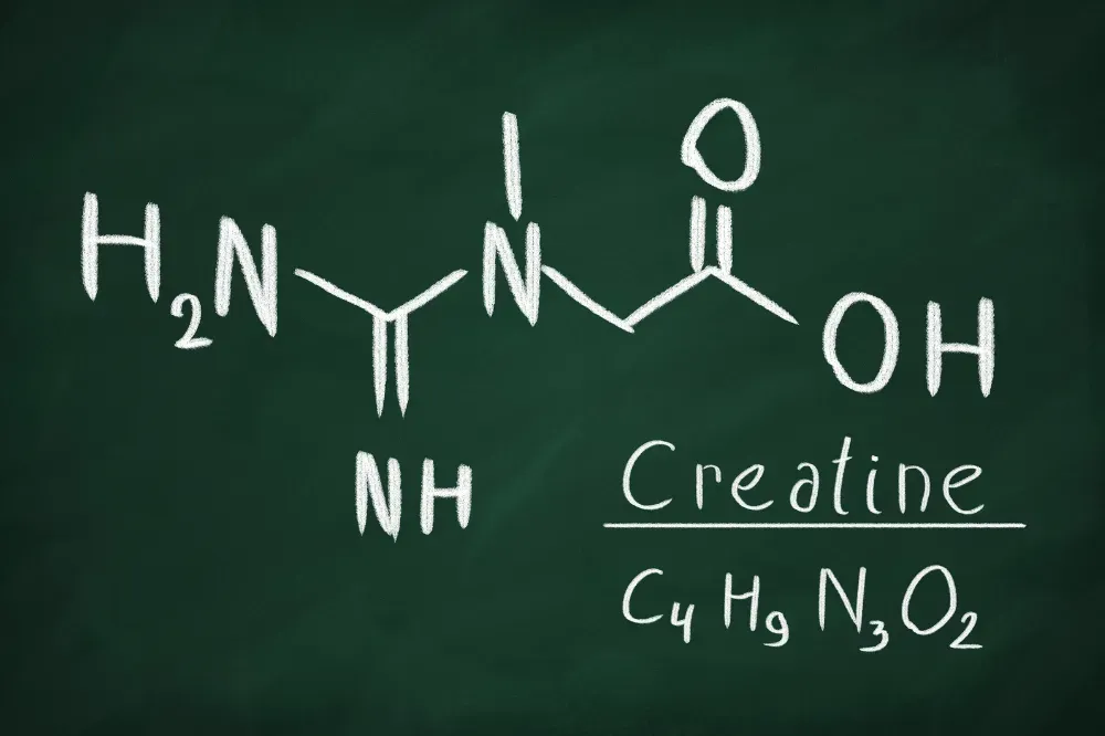 what are the benefits of taking creatine