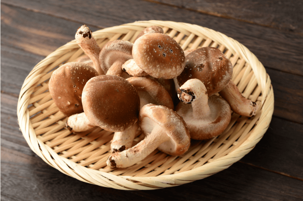 are mushroom supplements good for you