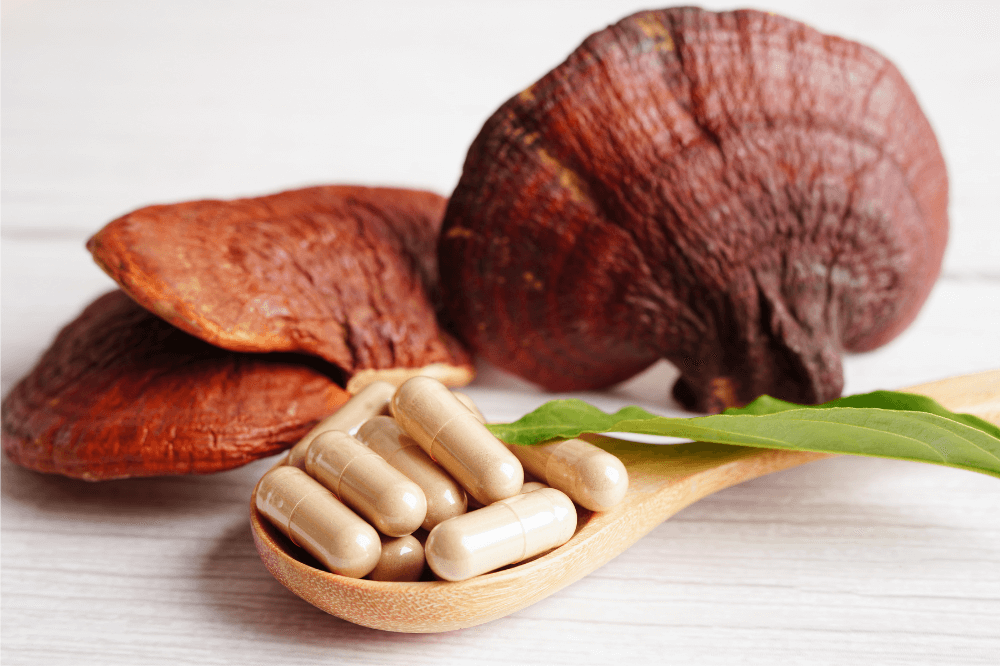 Mushroom supplement benefits